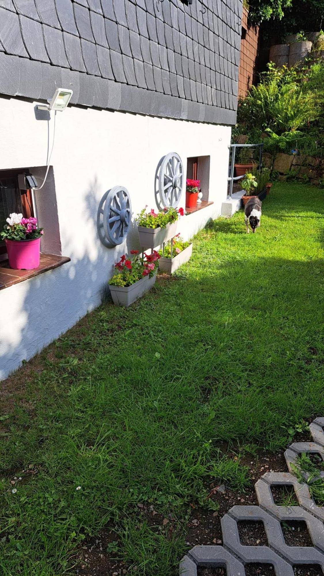 Ferienwohnung Friedrichsruh Braunlage Exteriér fotografie